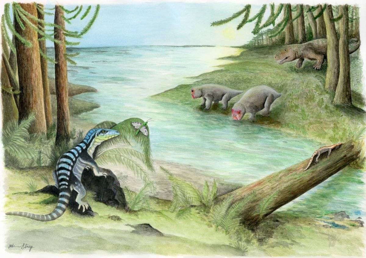 Científicos encuentran un milpiés conservado en ámbar que vivió en la época de los dinosaurios