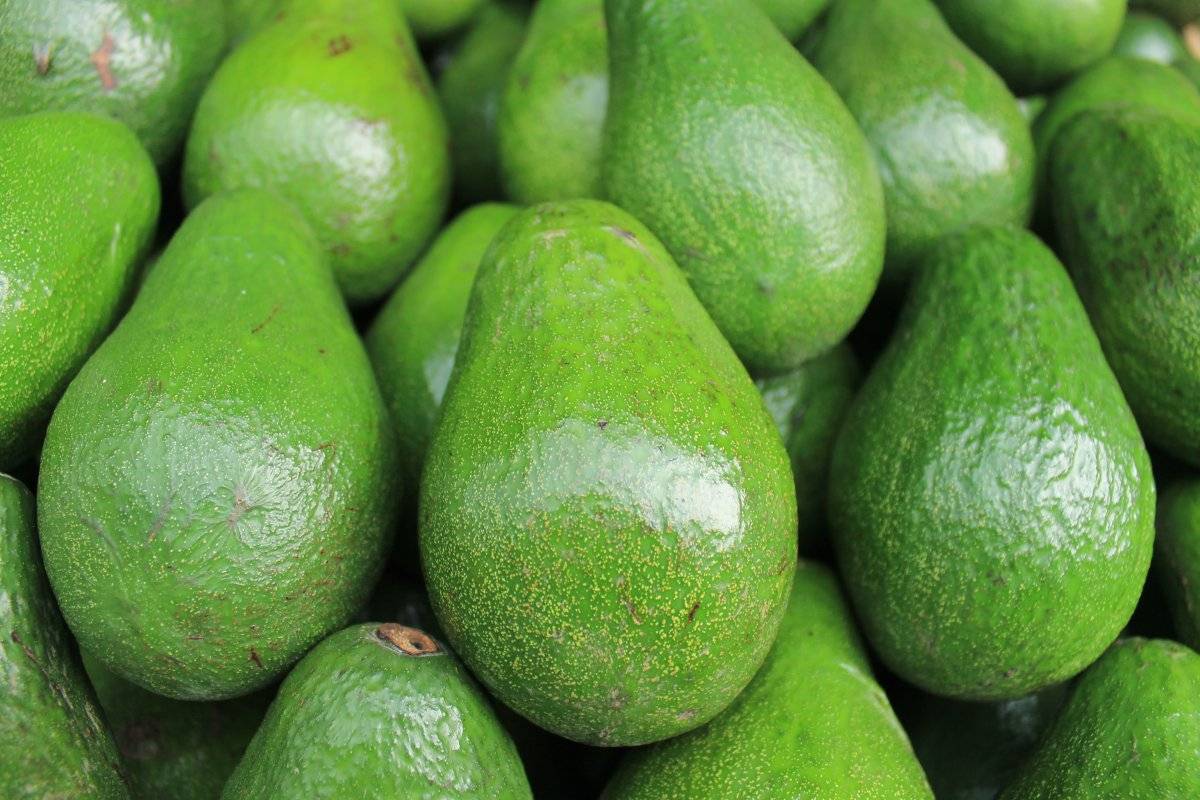 Aguacate
