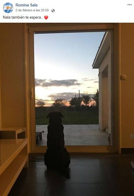 Perrita Emiliano Sala