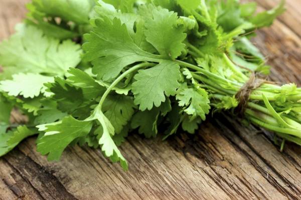 Tomar cardamomo para adelgazar