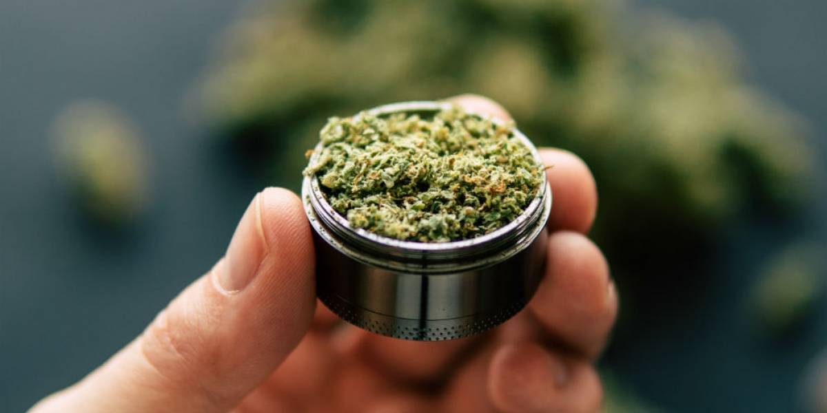 La OMS pide sacar a la marihuana del listado de drogas peligrosas La OMS pide sacar a la marihuana del listado de drogas peligrosas