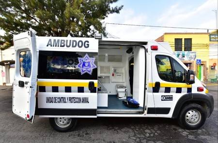 México Ambudog México Ambudog