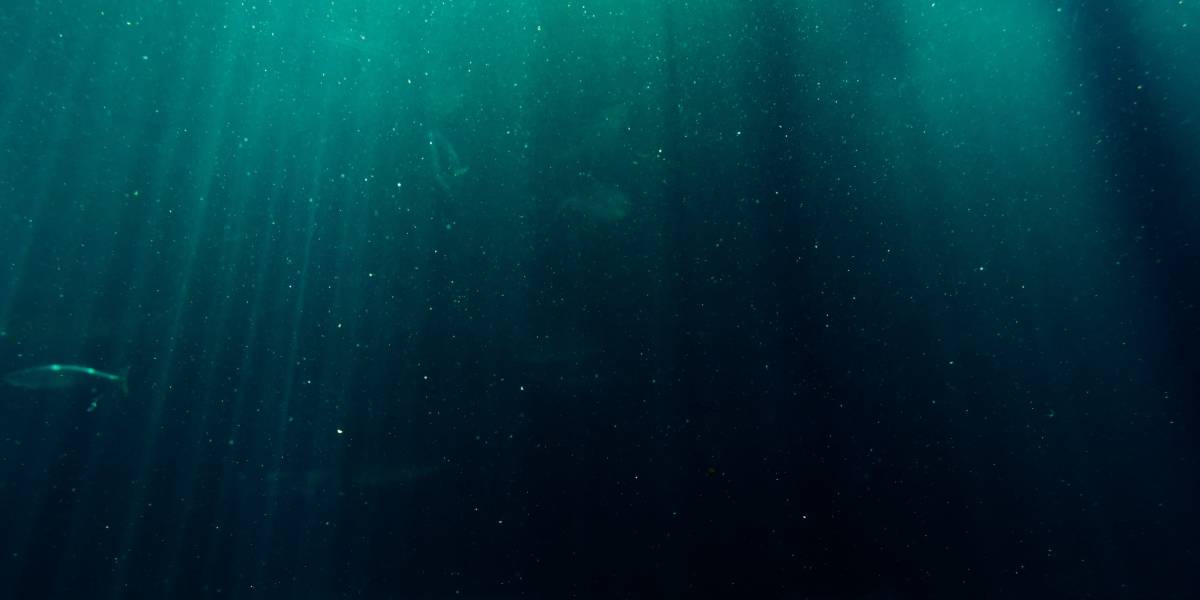Científicos encuentran un nuevo "Chernobyl" en el fondo del mar de Noruega