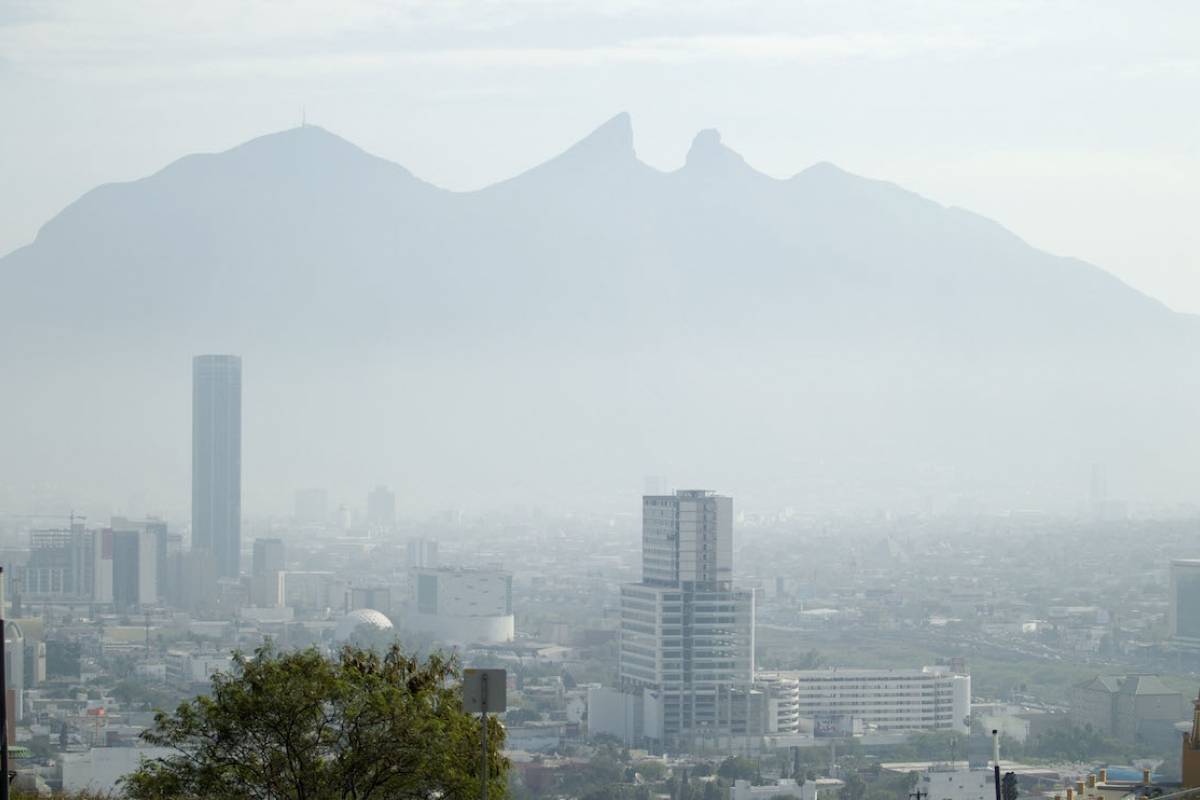 Monterrey x Monterrey x