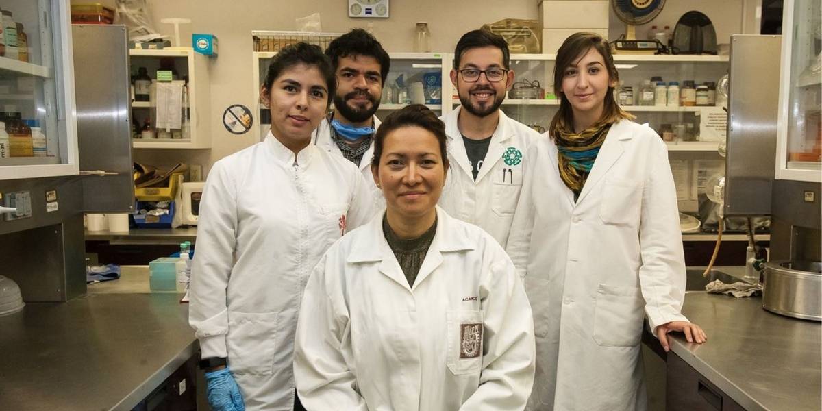 Científicos del IPN de México lograron eliminar el 100% del virus del papiloma humano en 29 mujeres