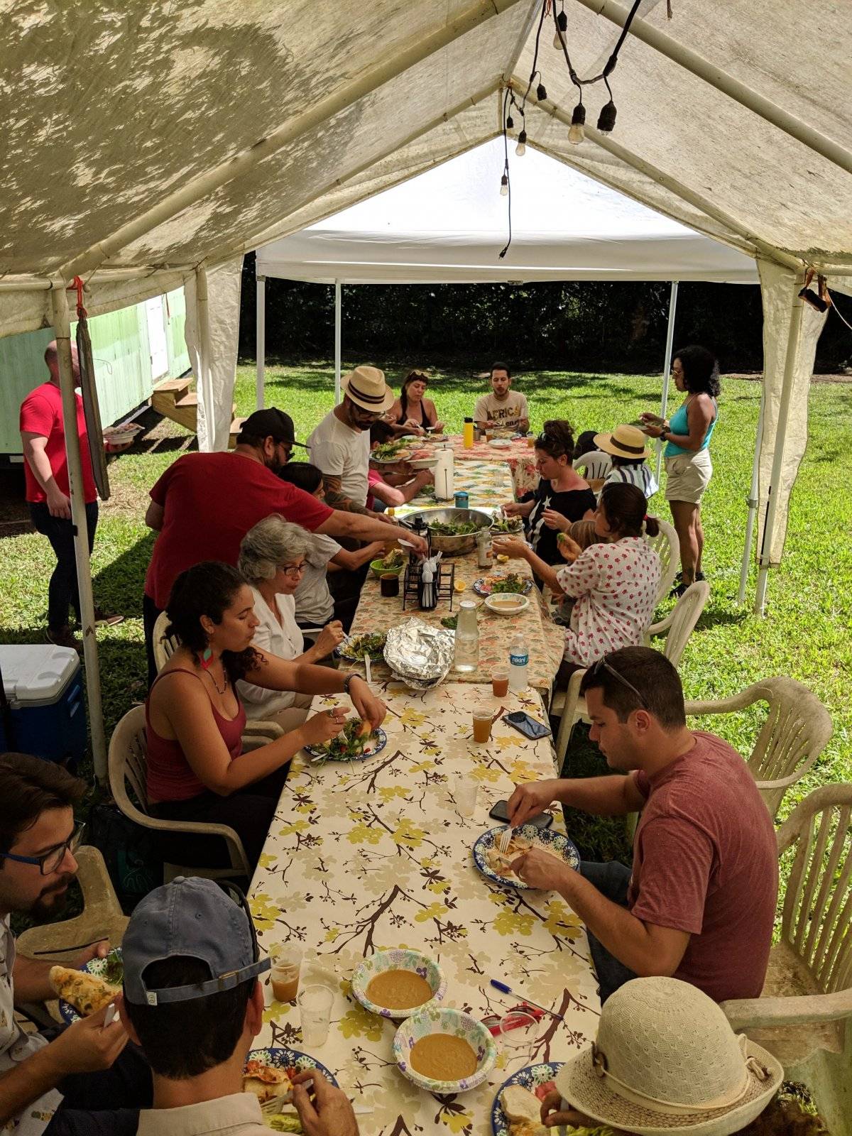 chef agricultura ecologica puerto rico