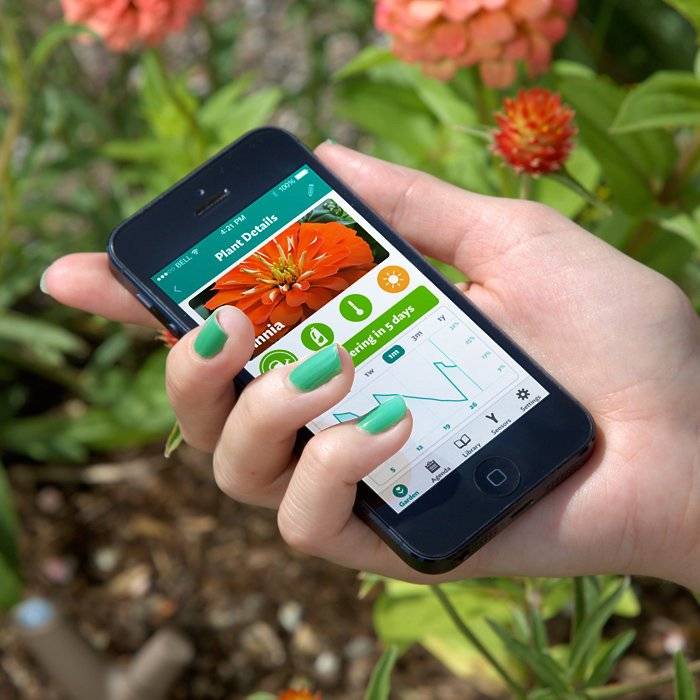 SmartPlant