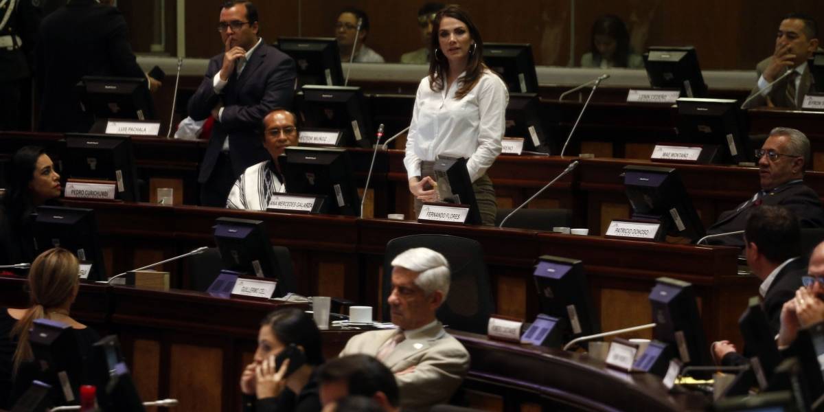 Pleno analizará informe sobre denuncia contra Ana Galarza Pleno analizará informe sobre denuncia contra Ana Galarza