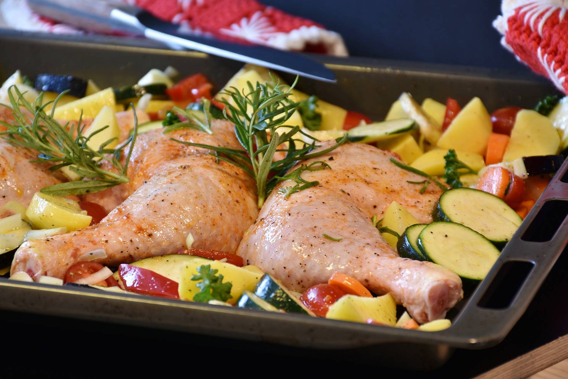 pollo pollo