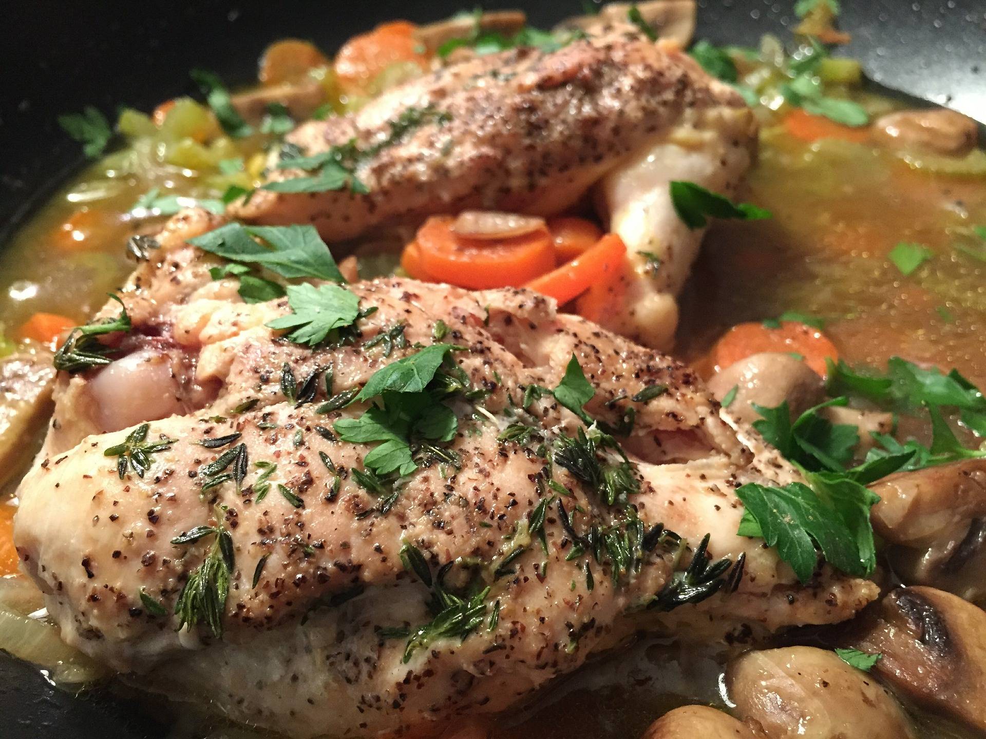 pollo pollo