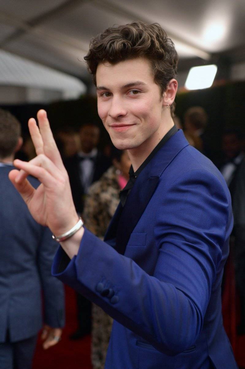 Shawn Mendes|Grammy 2019