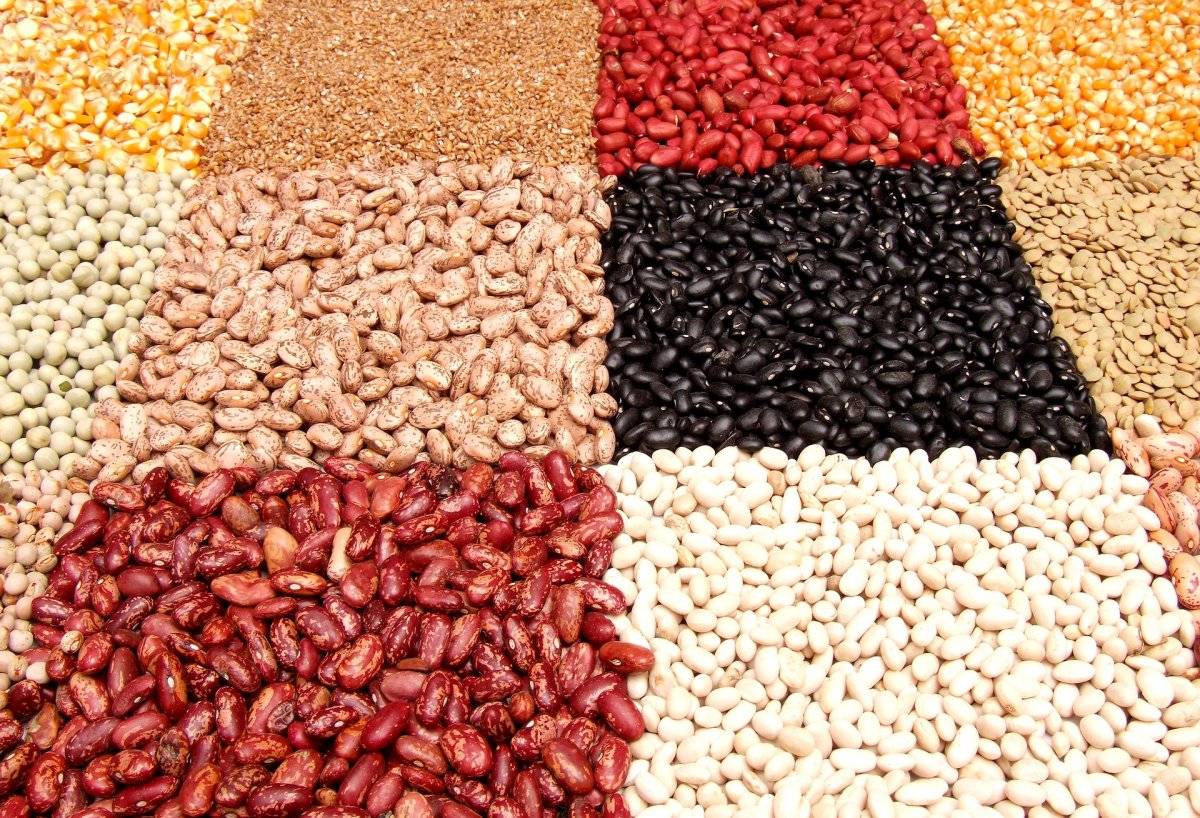 alimentos permitidos para triglicerídeos colesterol altos