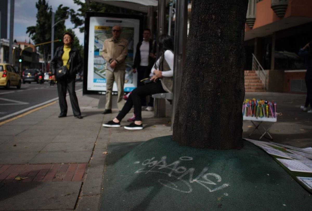 Crece la polémica por el recubrimiento instalado en los árboles
