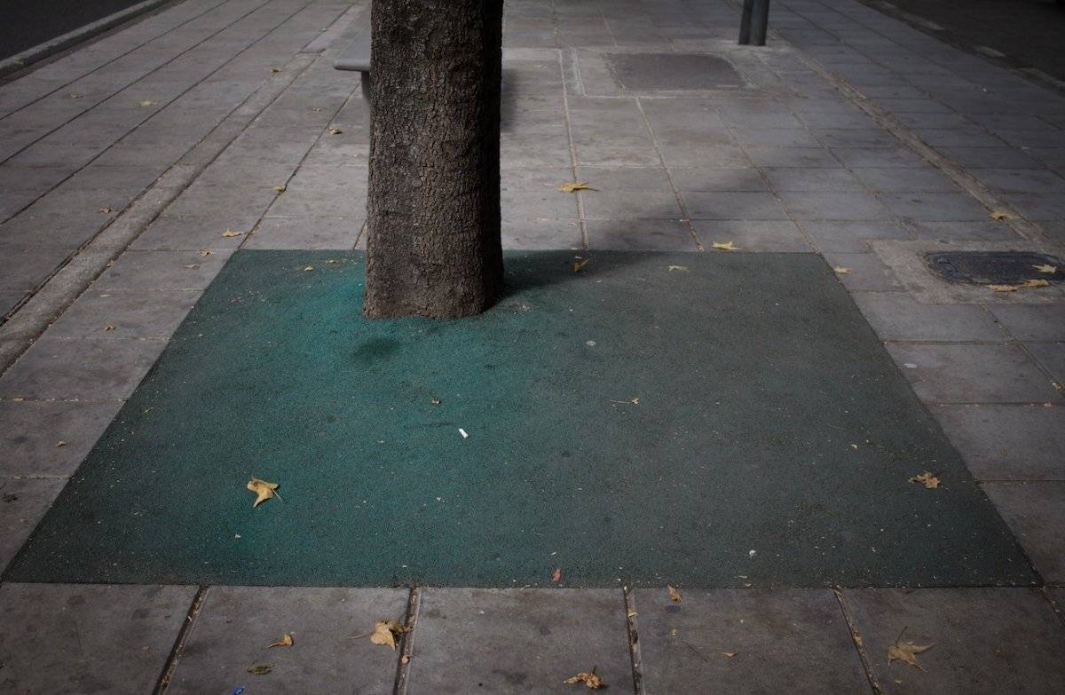 Crece la polémica por el recubrimiento instalado en los árboles