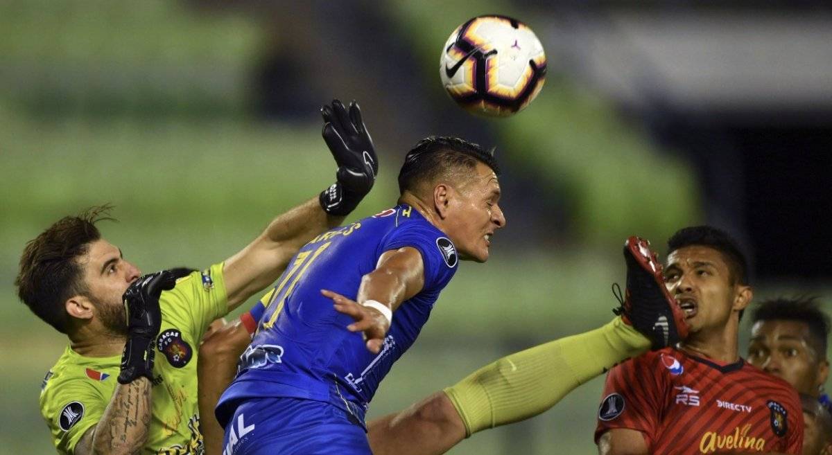 Delfín