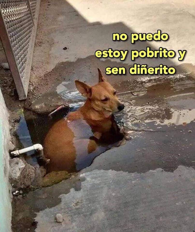 5155276922971045003134508371937423742992