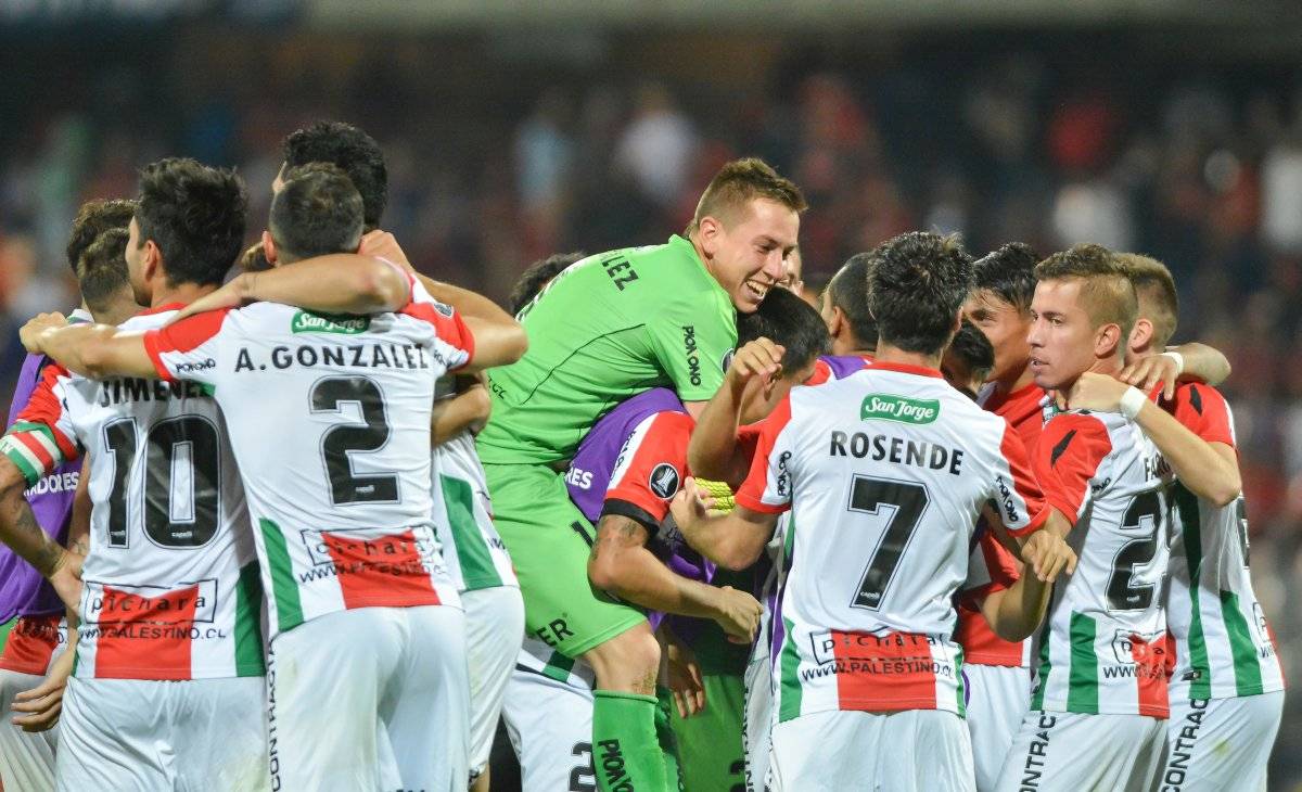 Palestino clasificó a la Libertadores como campeón de Copa Chile / imagen: Photosport