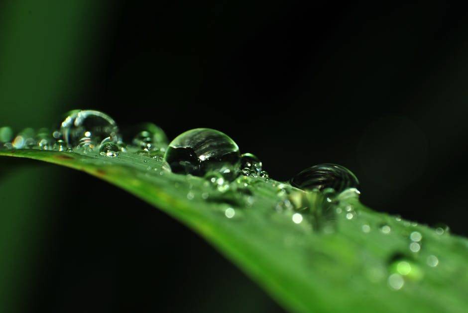 Beneficios del Aloe Vera en la mujer y el hombre Beneficios del Aloe Vera para combatir la disfunción eréctil