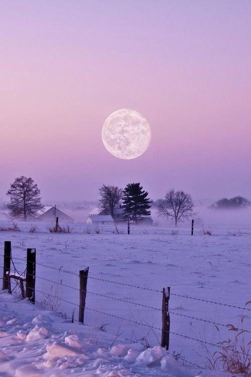 Luna llena febrero 2019