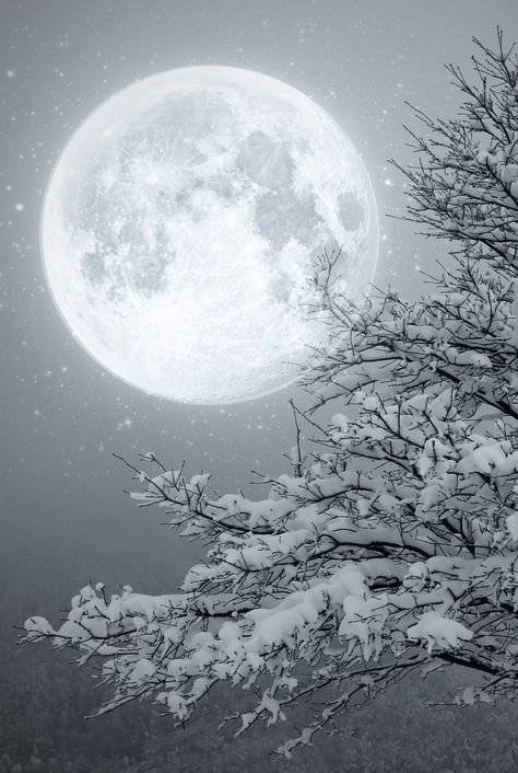 Luna llena febrero 2019