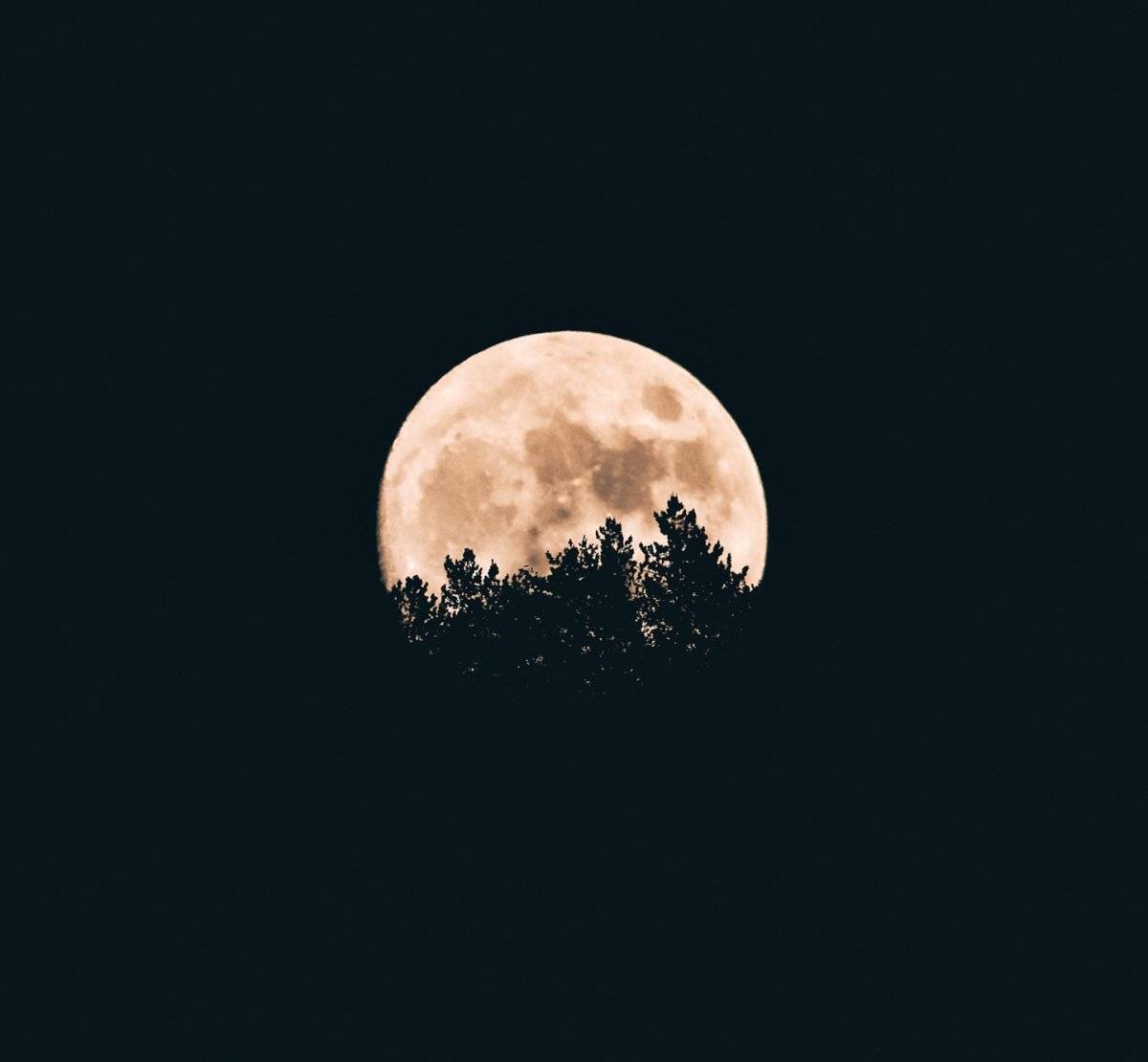 luna llena