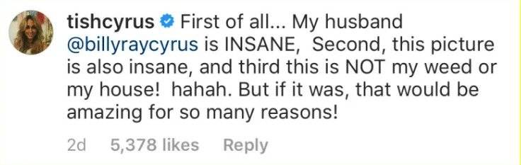 tish cyrus instagram