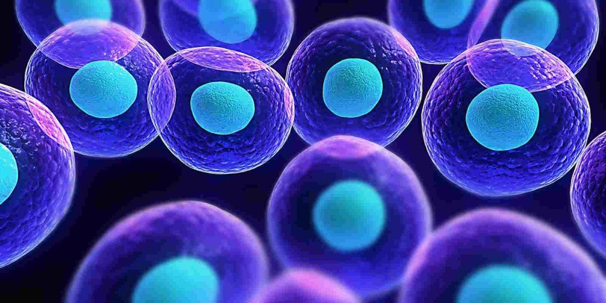 Desarrollan novedoso método para no alertar al sistema inmunológico en trasplantes de células madre