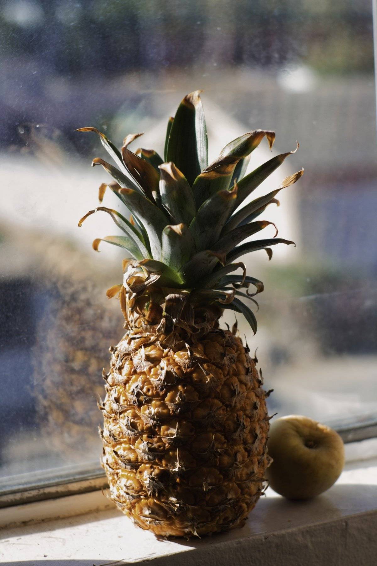 piña