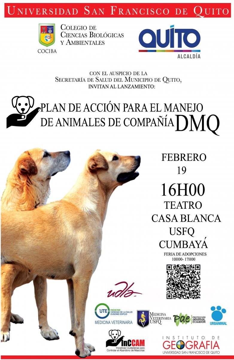 Adopción perros
