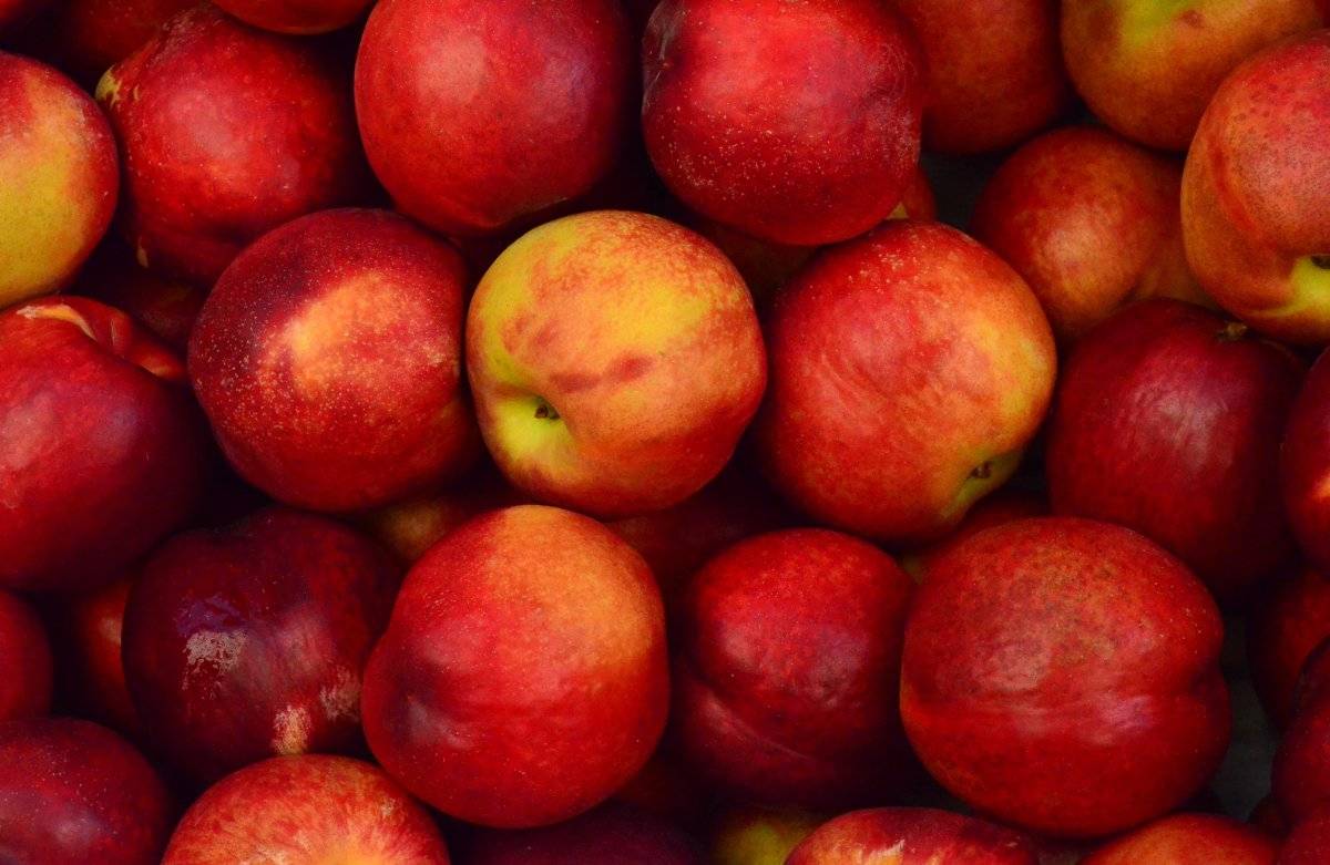 Manzana
