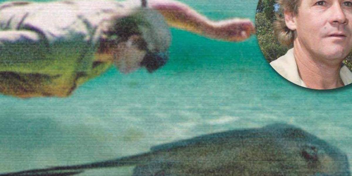 PETA se enfurece por la conmemoración de Steve Irwin y envía mensaje a Google