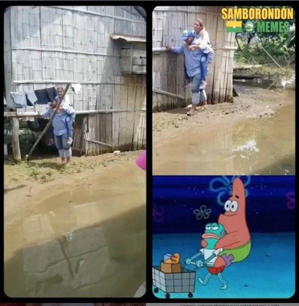 Meme de Sofía Caiche