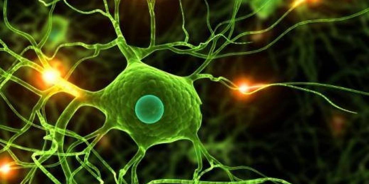 Logran desarrollar una levadura para producir los mismos componentes de la marihuana