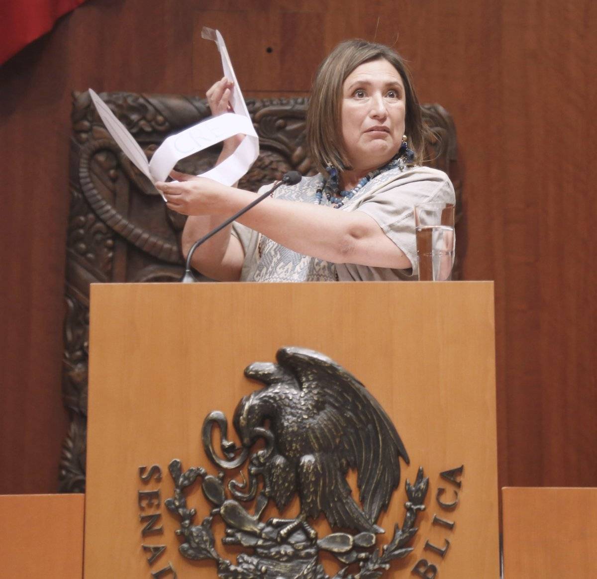 Senado de la República.