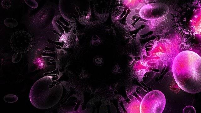 Virus