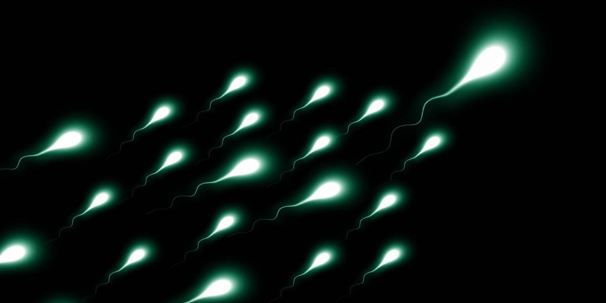 Algunos productos de limpieza del hogar empeoran la calidad del semen, según estudio
