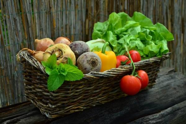 dieta solo frutas y verduras