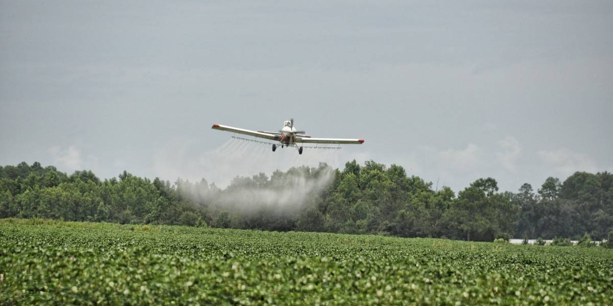 ¿Vuelve el glifosato a Colombia? Inicia el debate para decidir si se retoman las fumigaciones sobre cultivos ilícitos