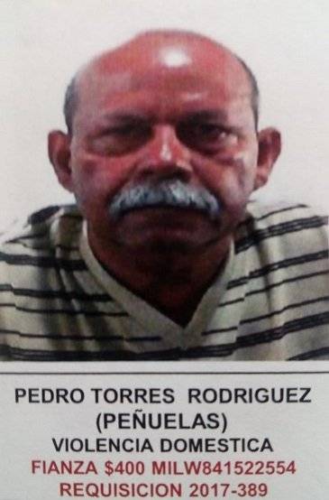 Pedro Torres Rodríguez