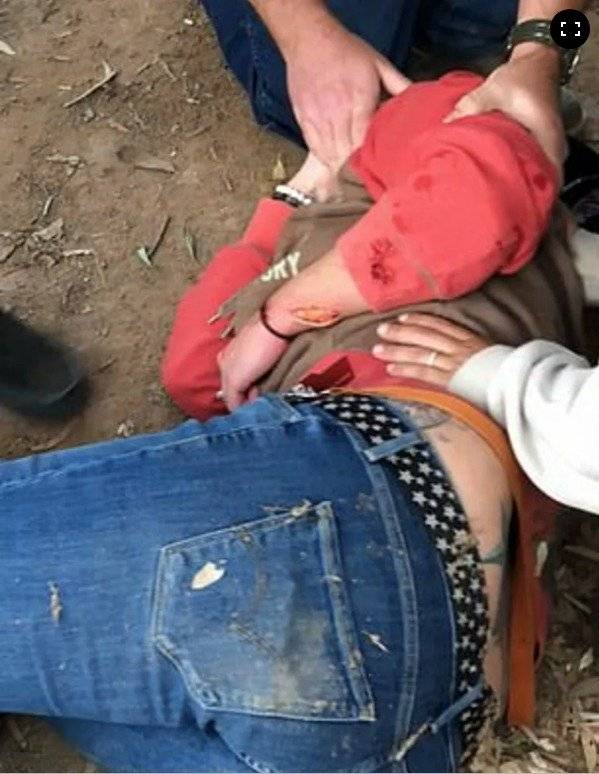 Mujer entra a jaula de un jaguar para tomarse una selfie y resultó atacada por el felino