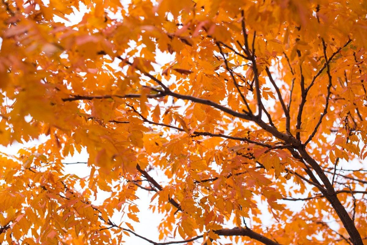 equinoccio de otoño 2019