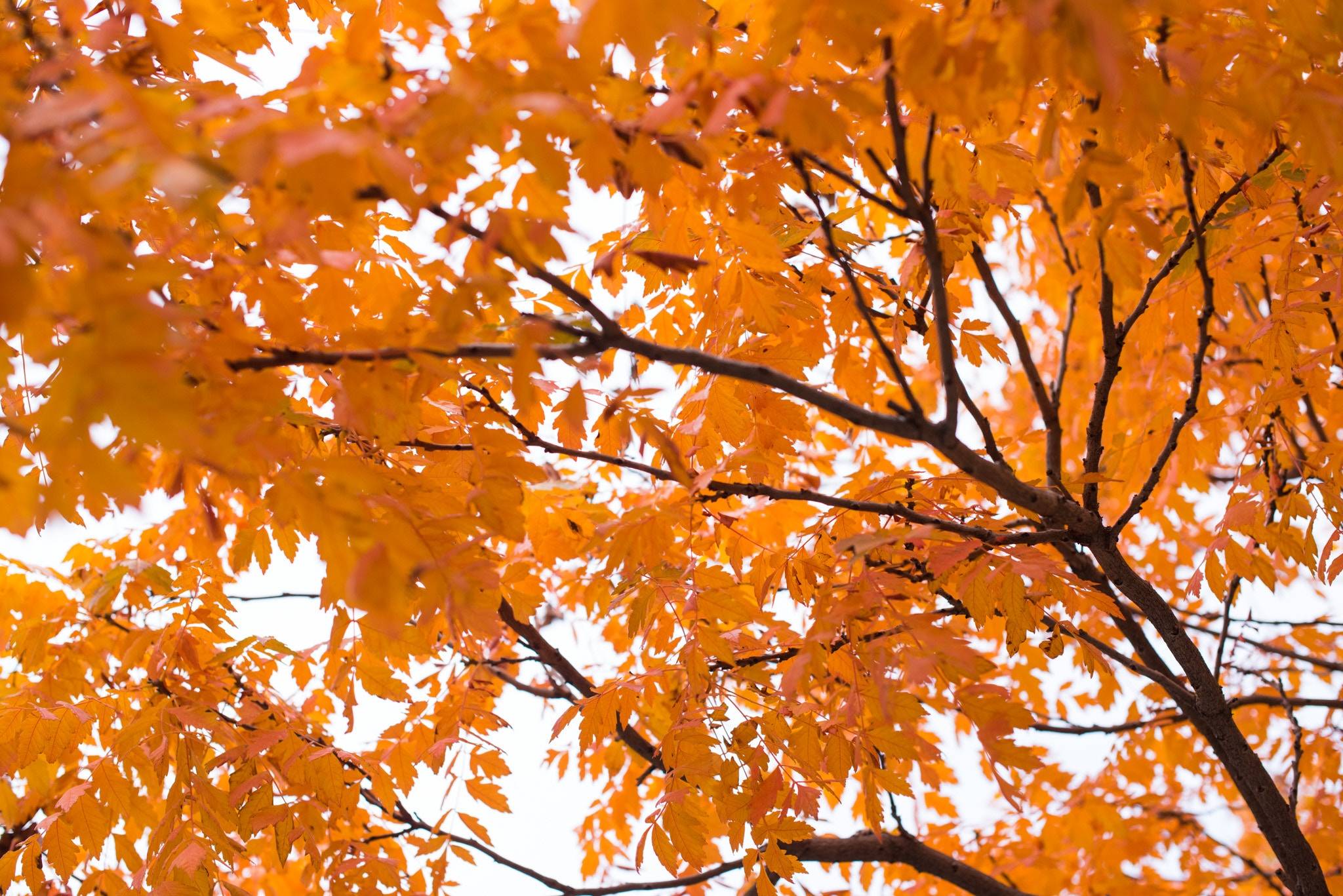 equinoccio de otoño 2019 equinoccio de otoño 2019