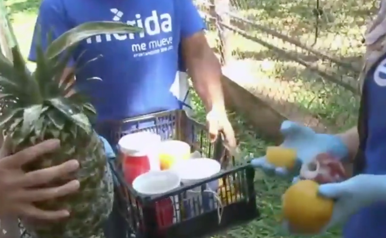 México paletas hielo México paletas hielo