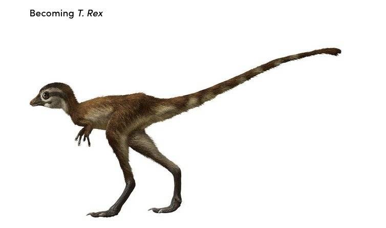 tiranosaurio
