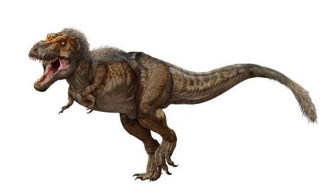 tiranosaurio