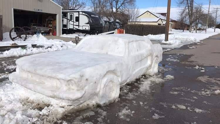 Mustang de nieve