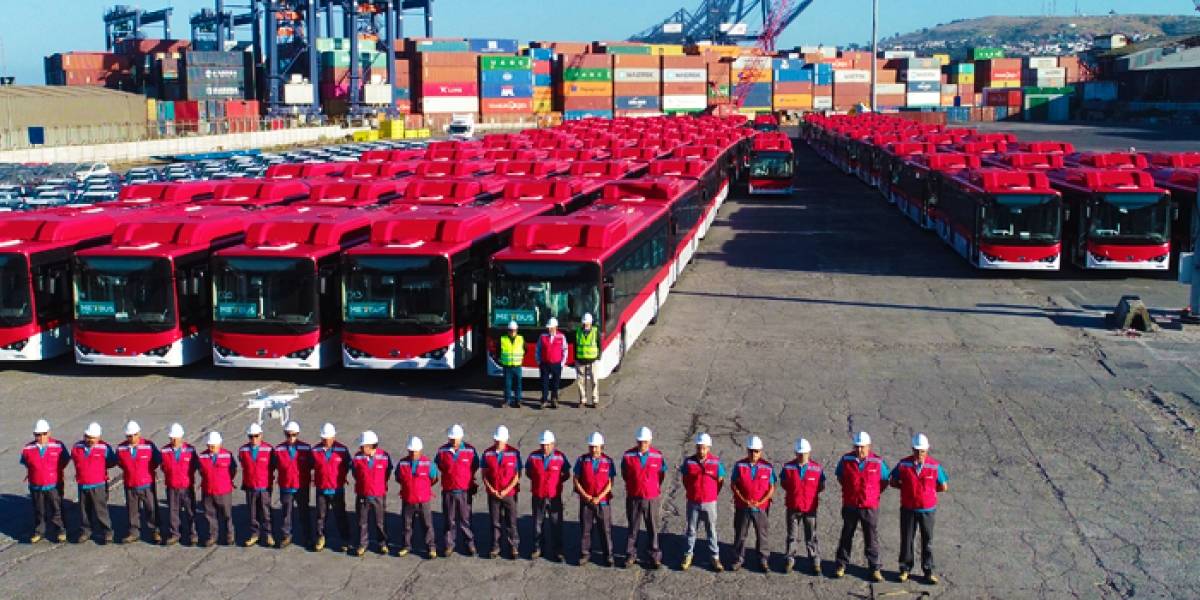 Dale dale RED: Así es el nuevo sistema de transporte que reemplaza al Transantiago
