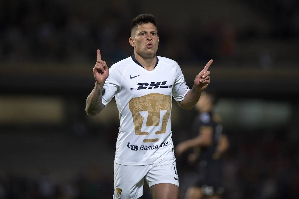 Pumas