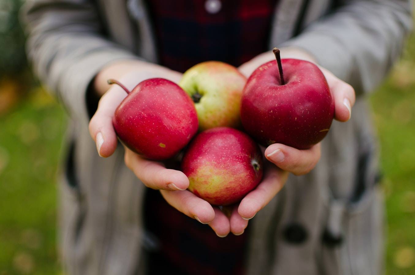 manzana manzana