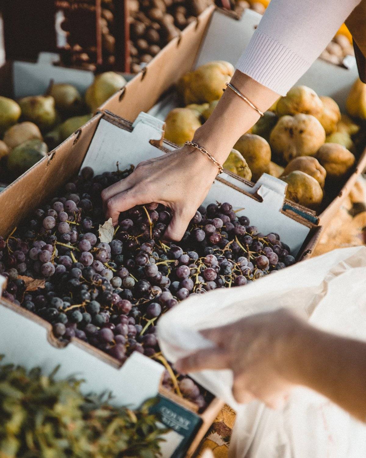 Uvas